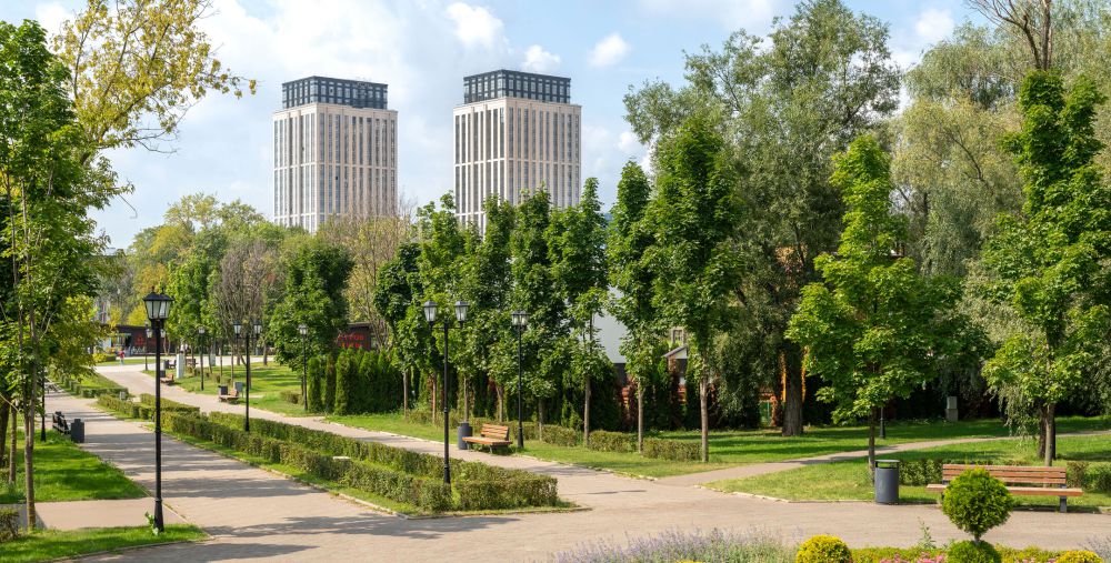 Dream Towers